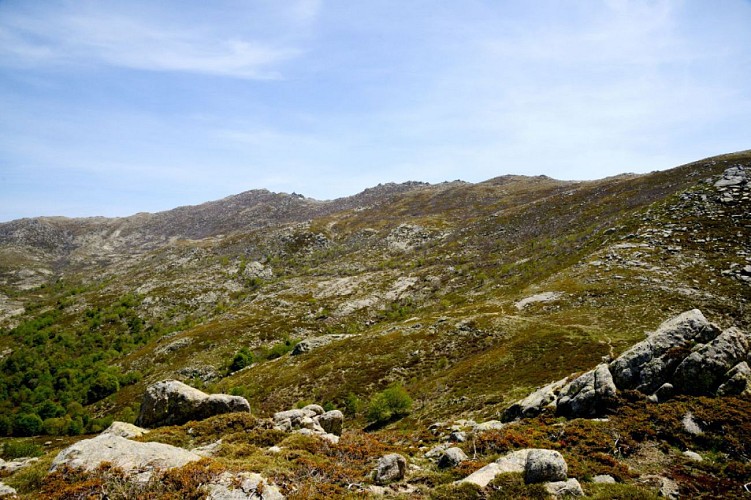 Corse- Région Incudine/Cuscionu- Berg. de Chiralbella- Bocca Chiralba- Canyon Vinajolo [Mai 2016]