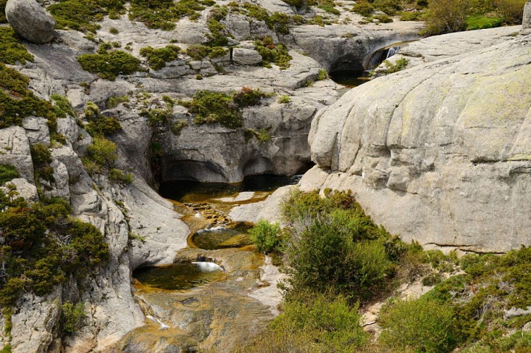 Corse- Région Incudine/Cuscionu- Berg. de Chiralbella- Bocca Chiralba- Canyon Vinajolo [Mai 2016]