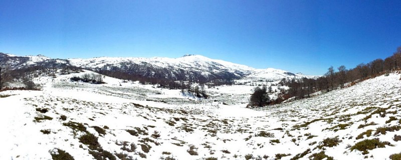 Plateau des Cuscionu