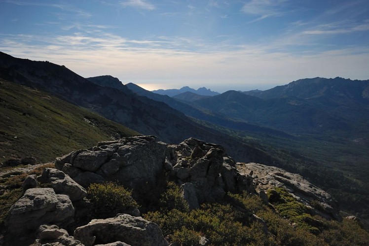 Corse- Région Niolo/Valdu Niellu- Forêt de Casamaccioli- Capu di U Facciatu [sept 2011]