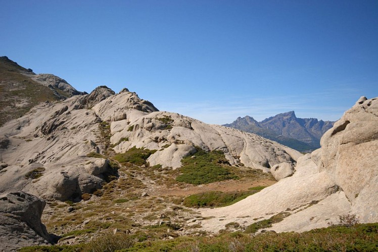 Corse- Région Niolo/Valdu Niellu- Forêt de Casamaccioli- Capu di U Facciatu [sept 2011]