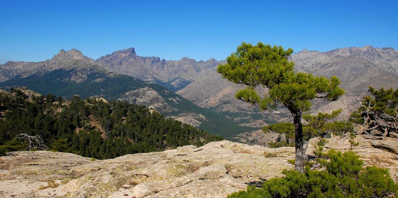 Corse- Région Niolo/Valdu Niellu- Berg. de Chiarasgioli- Crête Petra â Rasa [oct 2011 et août 2015]