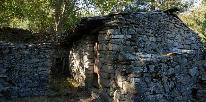 Corse- Région Niolo/Valdu Niellu- Berg. de Chiarasgioli- Crête Petra â Rasa [oct 2011 et août 2015]