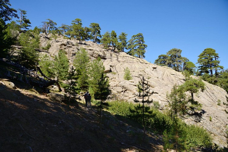 Corse- Région Niolo/Valdu Niellu- Berg. de Chiarasgioli- Crête Petra â Rasa [oct 2011 et août 2015]
