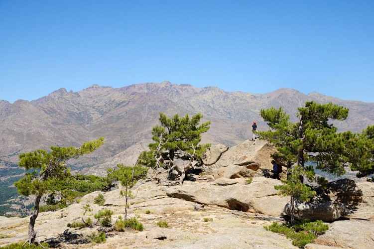 Corse- Région Niolo/Valdu Niellu- Berg. de Chiarasgioli- Crête Petra â Rasa [oct 2011 et août 2015]