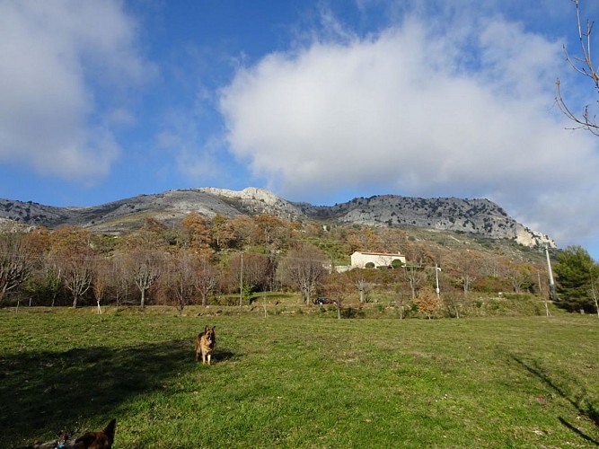 Le plateau, vu depuis le Pré de Gourdon