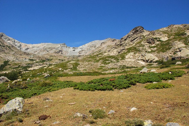 Corse- Région Niolo/Massif Bianco/Verdatu- Lacs de Lancone: Ghiarghe Rosse, Occhi Neri, Maggiore [août 2012]