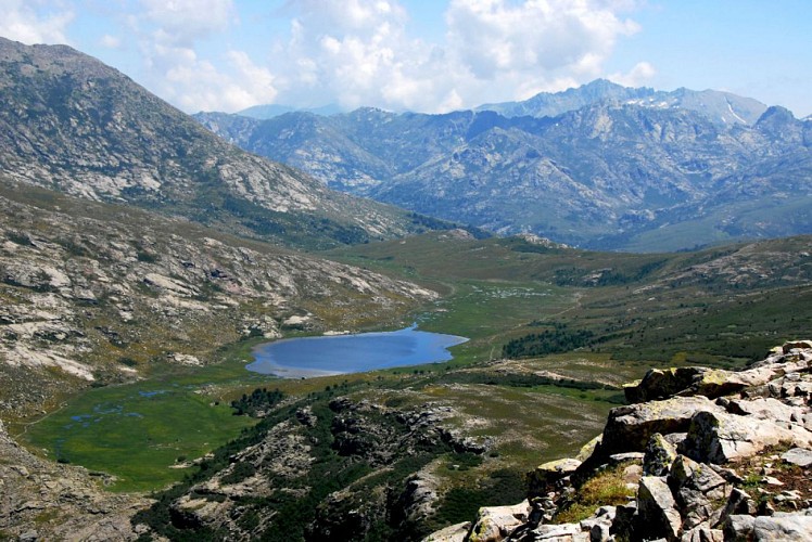 Corse- Région Niolo/Valdu Niellu/Campotile- Lac de Nino depuis Col de Vergio [juillet 2010]