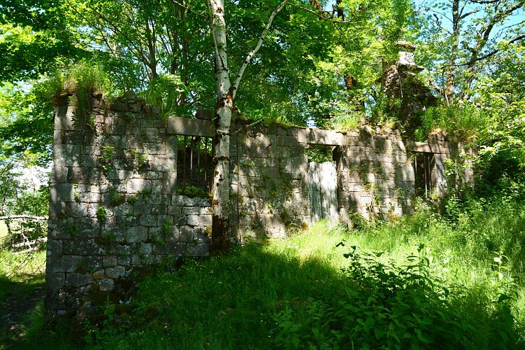 Ruine de la ferme de Bos