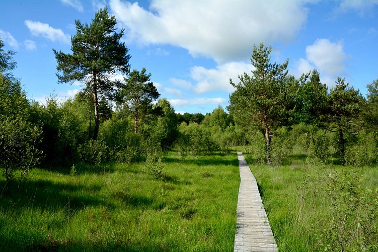 Le marais de Cassan