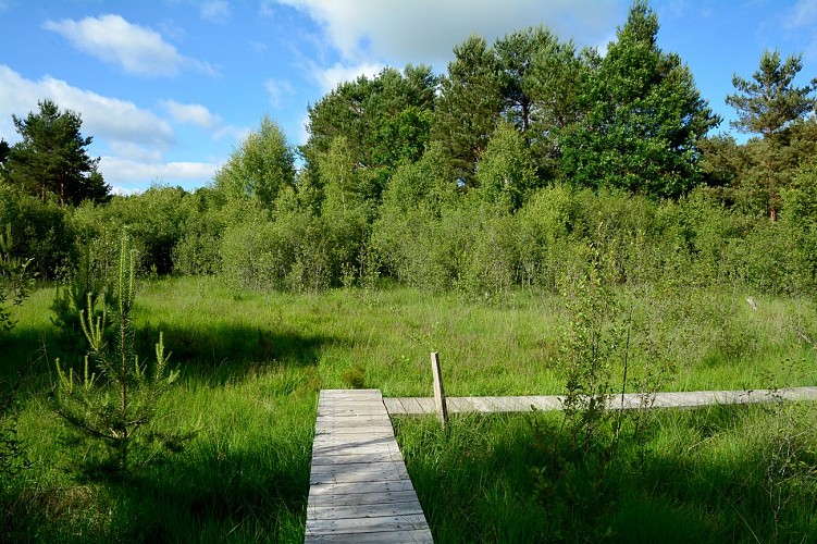 Le marais de Cassan