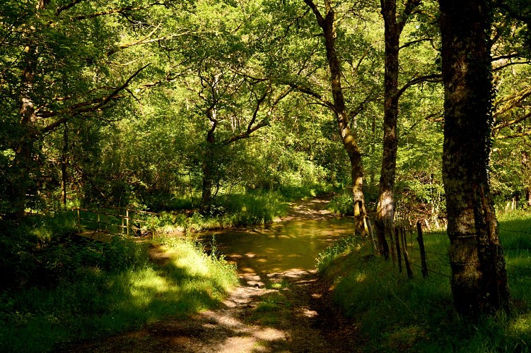 Le marais de Cassan