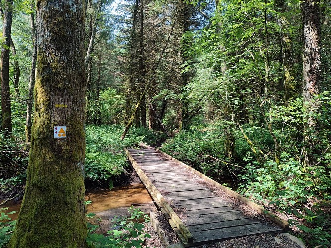 Champnétery - Pont sur l'Alesmes  - Pays Monts et Barrages - Aurélien Clavreul (2)