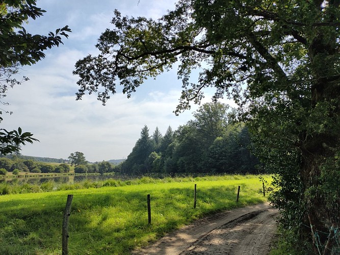 Champnétery - Sur le chemin le long de l'étang du puy Razat - Pays Monts et Barrages - Aurélien Clavreul