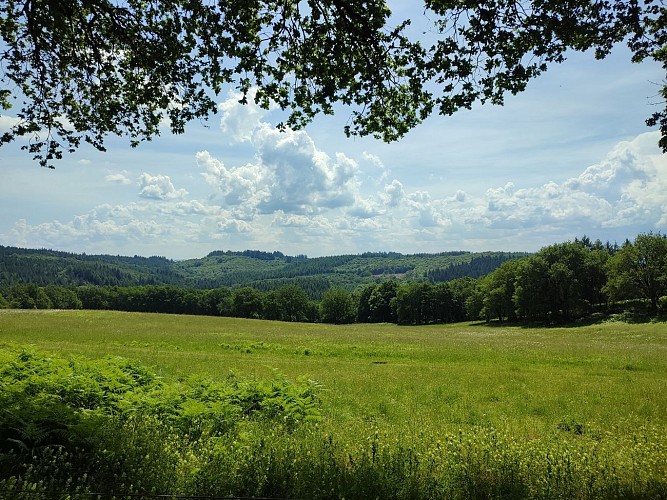 Auriat - Vue depuis  la route de Grosland - Le Puy - Pays Monts et Barrages - Aurélien Clavreul