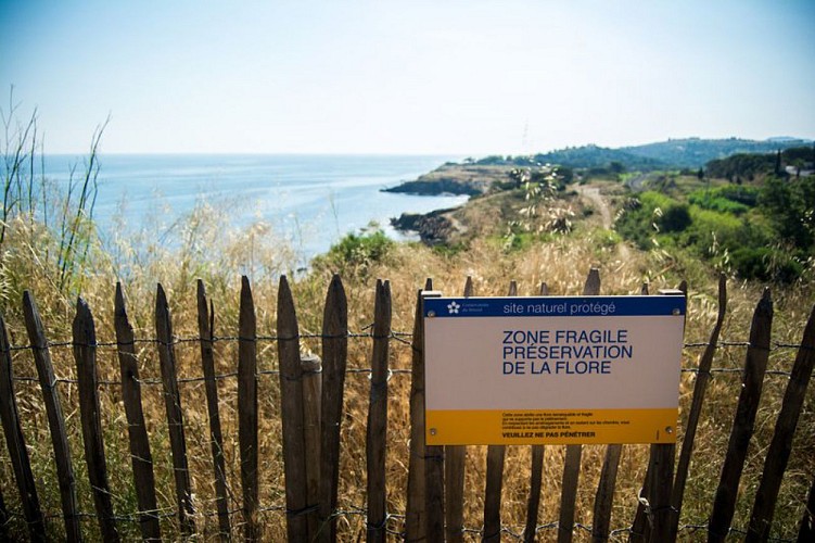 De Collioure au Château de Valmy par le sentier littoral