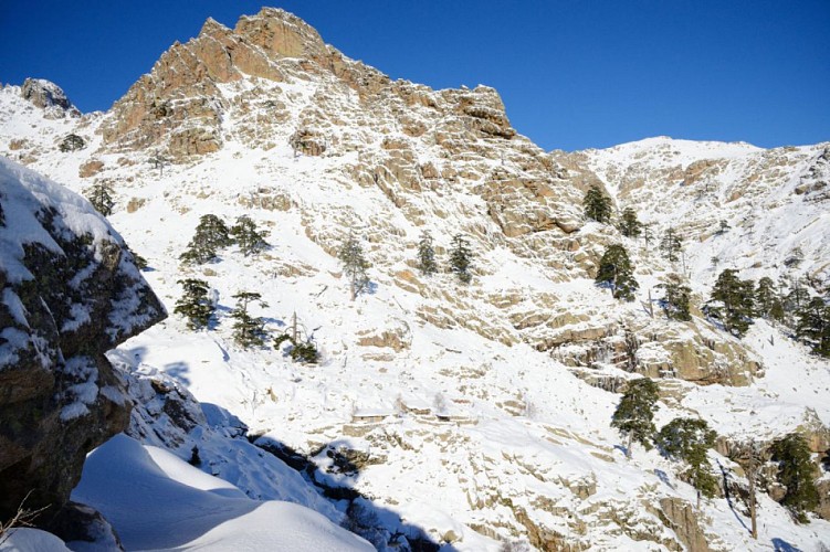 Les bergeries de Radule