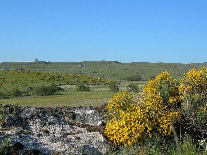 A la découverte de l’Aubrac