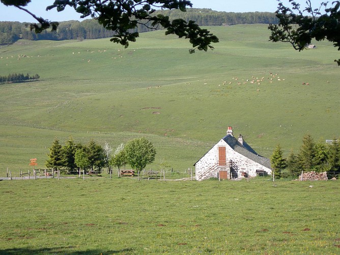 A la découverte de l’Aubrac