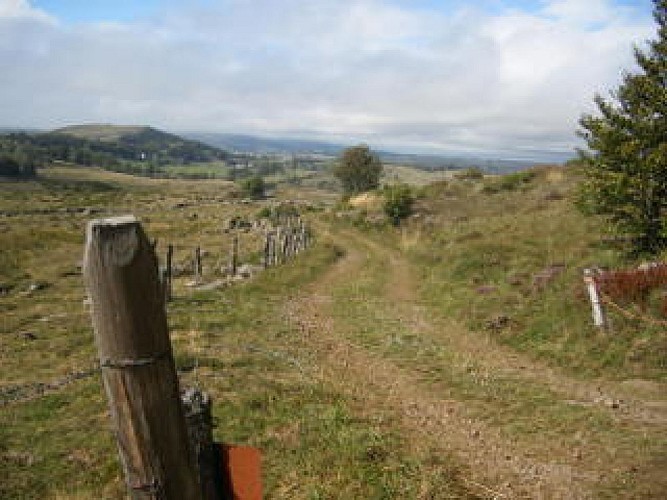 Découverte de l’Aubrac