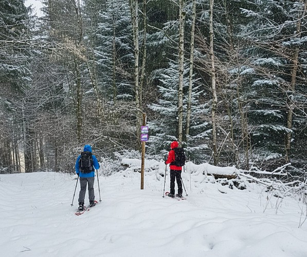 Tour du Reposoir - Winter hike_Le Reposoir