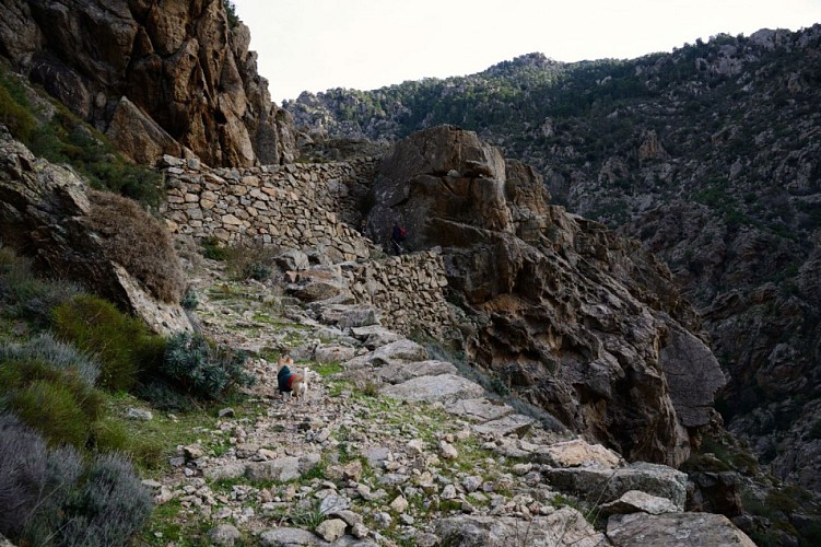 Corse- Région Niolo/Vallée Golo- Scala di Santa Regina [décembre 2012]