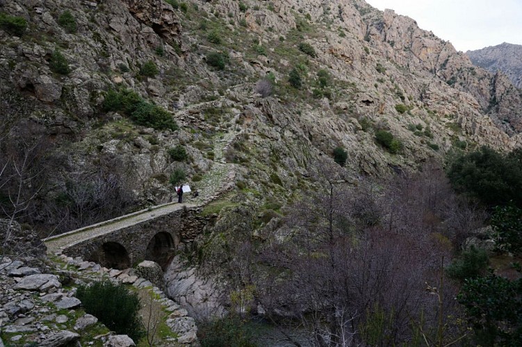 Corse- Région Niolo/Vallée Golo- Scala di Santa Regina [décembre 2012]