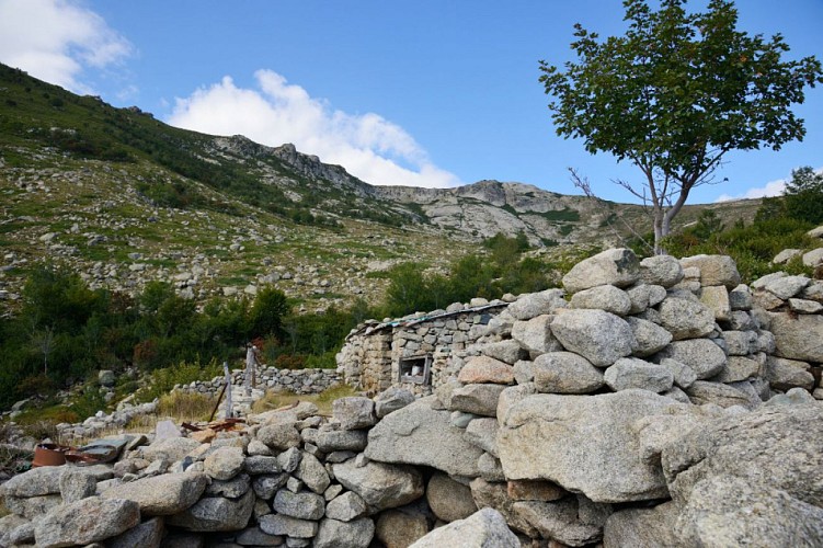 Corse- Région Niolo/Valdu Niellu- Capu di u Facciatu via berg. de Scrocchiella depuis Croce [Août 2015]