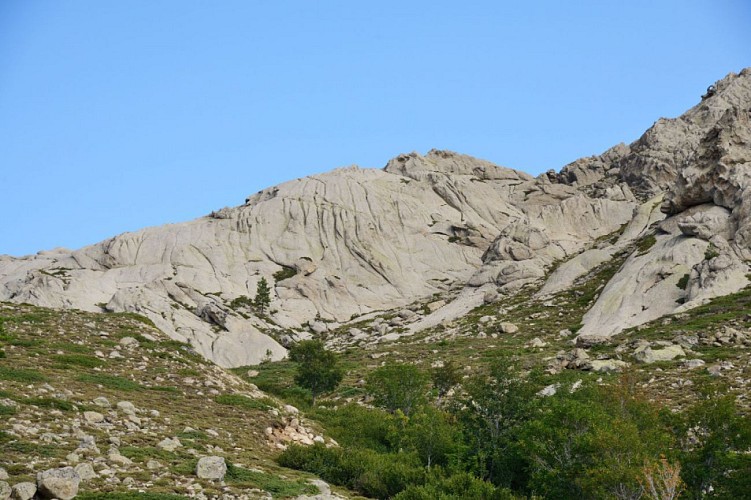 Corse- Région Niolo/Valdu Niellu- Capu di u Facciatu via berg. de Scrocchiella depuis Croce [Août 2015]