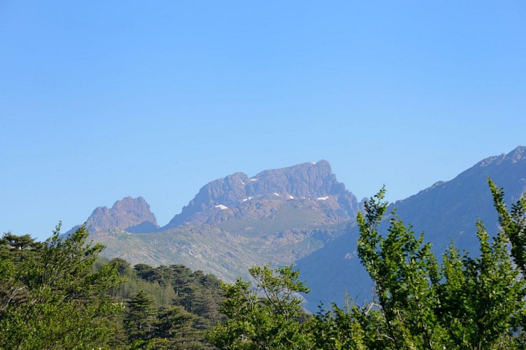 Corse- Région Niolo/Valdu Niellu- Vergio- Punta a Rughia par bocca San Padru [juin 2014]