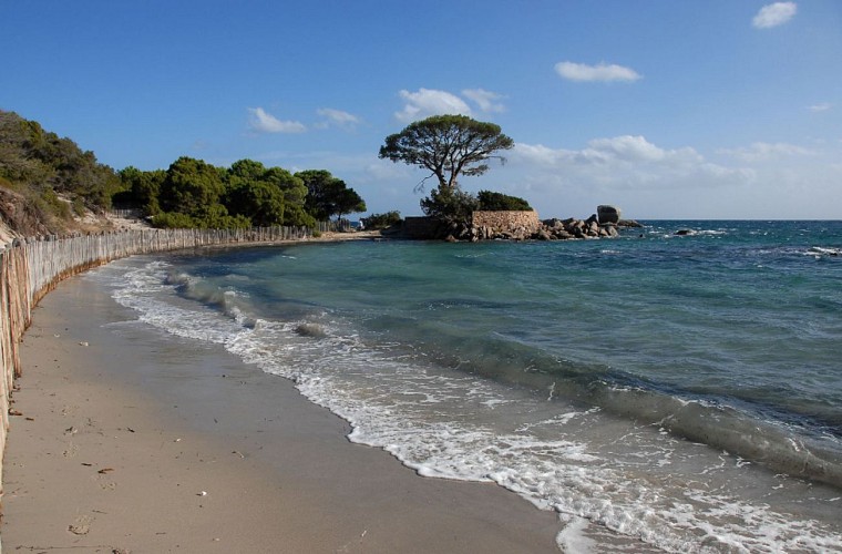 Corse- Région Porto Vecchio- Palombaggia et Carataggio hors saison [octobre 2011]