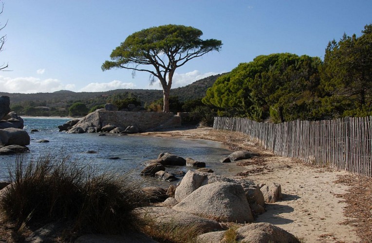 Corse- Région Porto Vecchio- Palombaggia et Carataggio hors saison [octobre 2011]