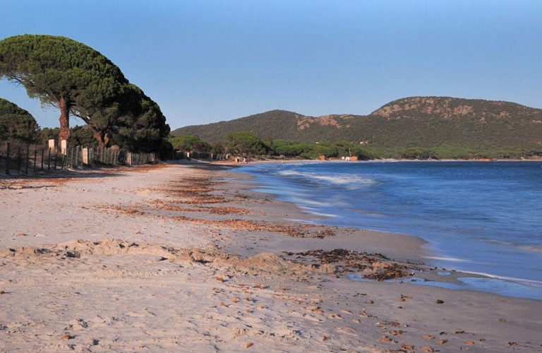 Corse- Région Porto Vecchio- Palombaggia et Carataggio hors saison [octobre 2011]