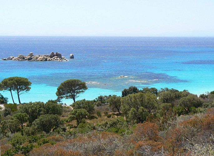 Corse- Région Porto Vecchio- Palombaggia et Carataggio hors saison [octobre 2011]