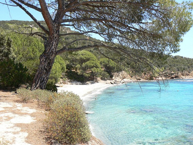 Corse- Région Porto Vecchio- Palombaggia et Carataggio hors saison [octobre 2011]