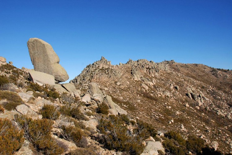 Corse- Région Taravo- Monte San Petru- Punta Furchiccioli [janvier 2012]