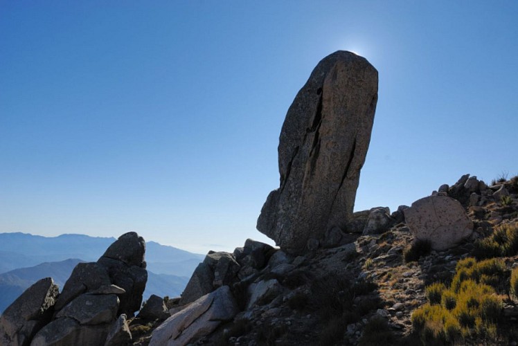 Corse- Région Taravo- Monte San Petru- Punta Furchiccioli [janvier 2012]