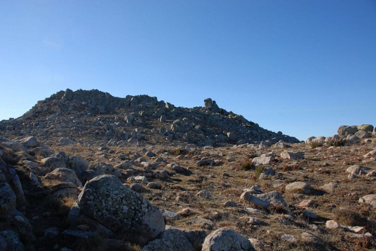 Corse- Région Taravo- Monte San Petru- Punta Furchiccioli [janvier 2012]