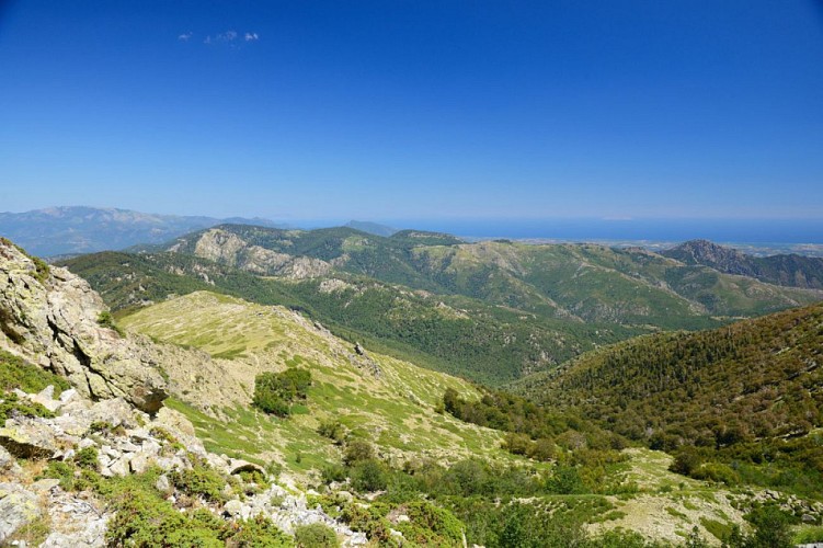 Corse- Région Vizzavona/Massif Oriente- Bocca Palmente- Berg. Alzeta- Retour par les crêtes [Juillet 2013]