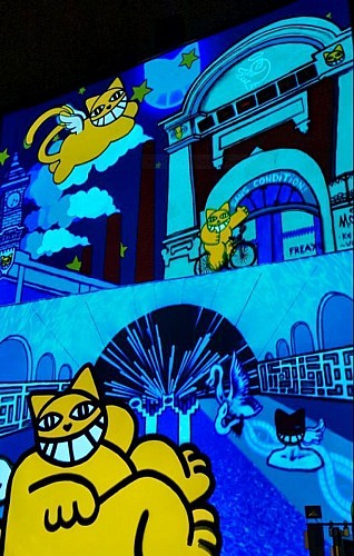 Les Nuits des Arts Lumineux