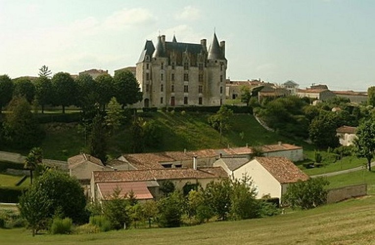Le village et le château de Neuvicq le Château