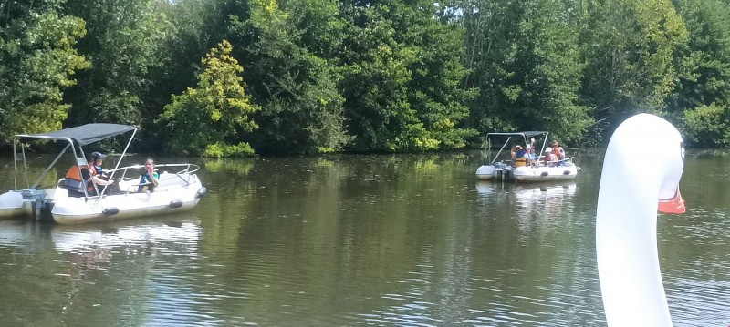 balade en bateau électrique