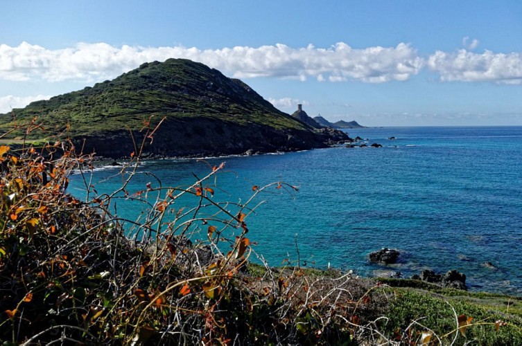 Corse- Région Ajaccio- Chemin douanier Parata-plage de Capo di Feno