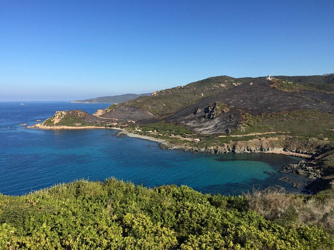 Corse- Région Ajaccio- Chemin douanier Parata-plage de Capo di Feno