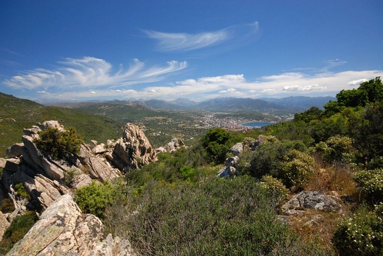 Corse- Région Ajaccio- Sentier des Crêtes [supérieur]