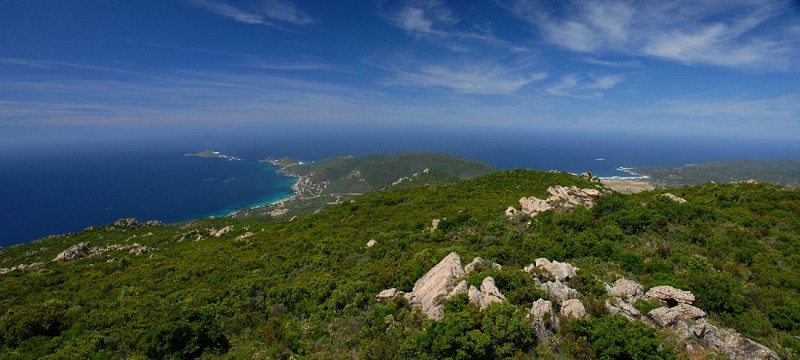Corse- Région Ajaccio- Sentier des Crêtes [supérieur]