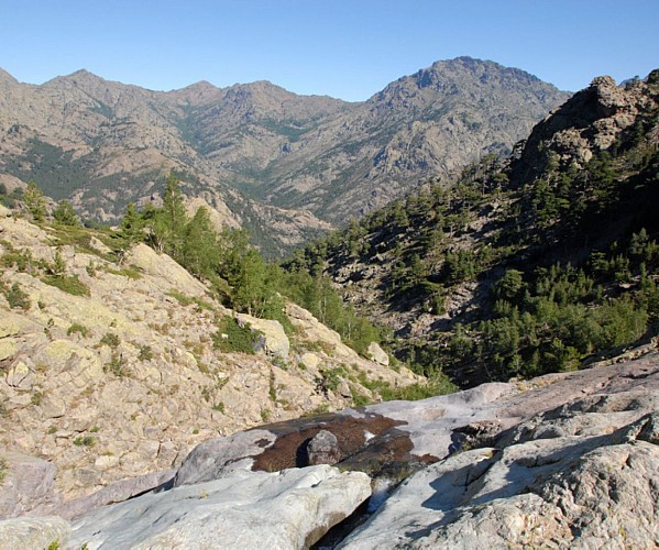 Corse- Région Asco- Vallée Ghieriosa vers Capu Bianco- tunnels névés [juillet 2009]