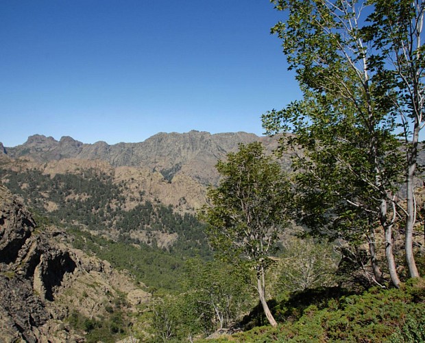 Corse- Région Asco- Vallée Ghieriosa vers Capu Bianco- tunnels névés [juillet 2009]