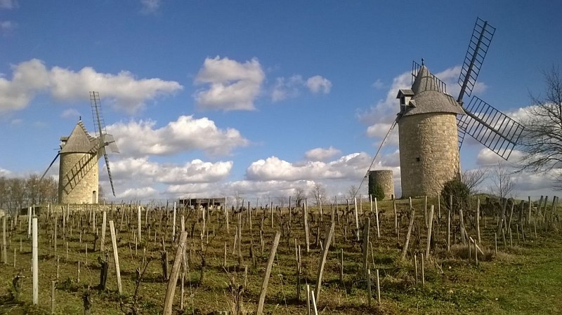 moulins calon (2)