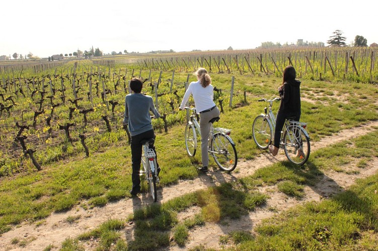 Vélo vignoble - (c) Saint-Emilion Tourisme5